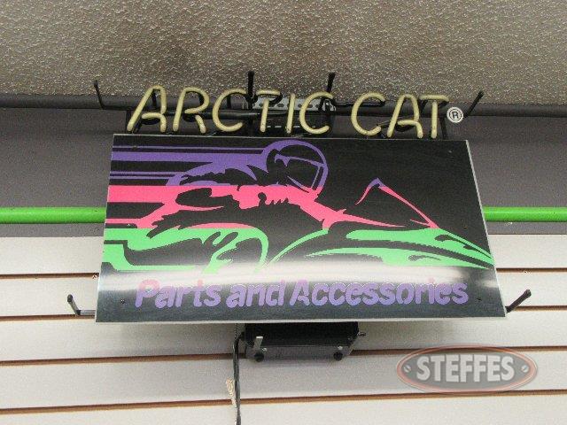  Arctic Cat 